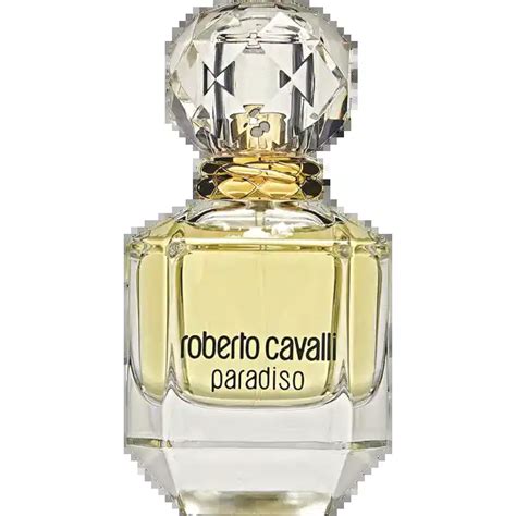 rossmann roberto cavalli